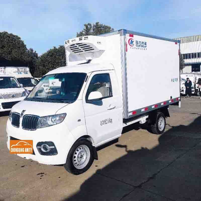 Factory Outlet SWM Shineray T3 Refrigerated truck  box truck refrigerated 4*2 Mini cargo van vehicles refrigerator freezer car