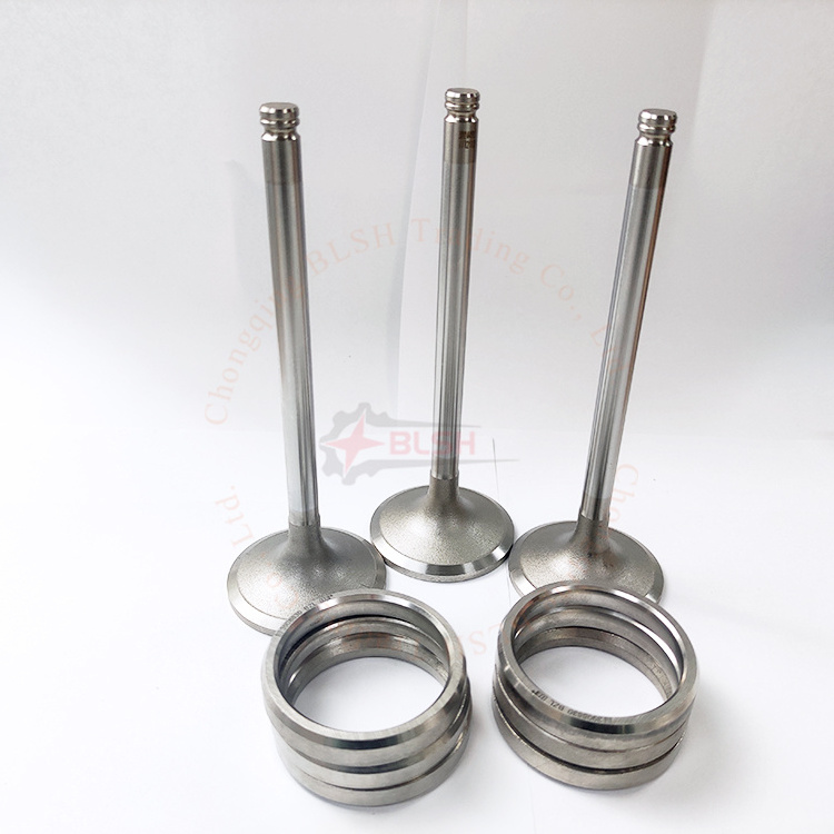 BLSH Wholesale engine parts Various models intake valve exhaust valve for Xichai M50 81D 36D F51Q 6DF1 24D M40