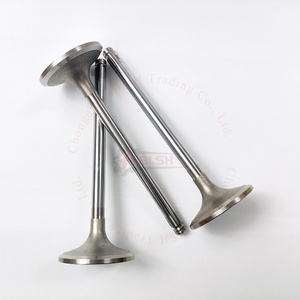 BLSH Wholesale engine parts Various models intake valve exhaust valve for Xichai M50 81D 36D F51Q 6DF1 24D M40