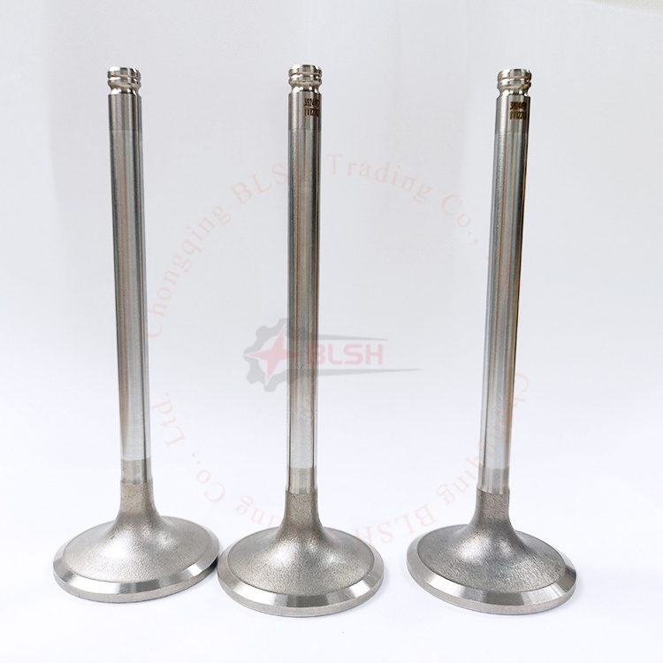 BLSH Wholesale engine parts Various models intake valve exhaust valve for Xichai M50 81D 36D F51Q 6DF1 24D M40