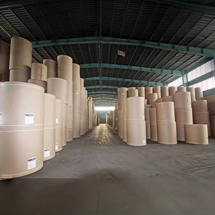 16gsm 190gsm to 450gsm  paper  Bond paper snow white color in rolls big reels brown Whole wood pulp Woodfree paper