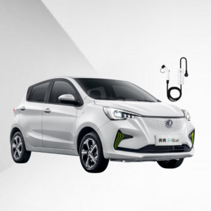 2023 changan benben Export hot cheap quick charging the latest changan Benben E-star new energy electric vehicle