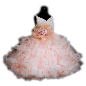 Evening party dress embroidery lace flower girl dress Baby Girls Layered Tutu Cake Birthday Dress for Formal Occasion