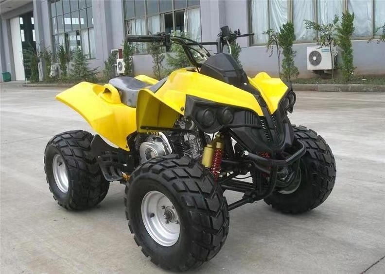 EDR 250CC Engine ATV Adult Model 125CC 300CC atv 4x4 quad atv 4x4 800cc