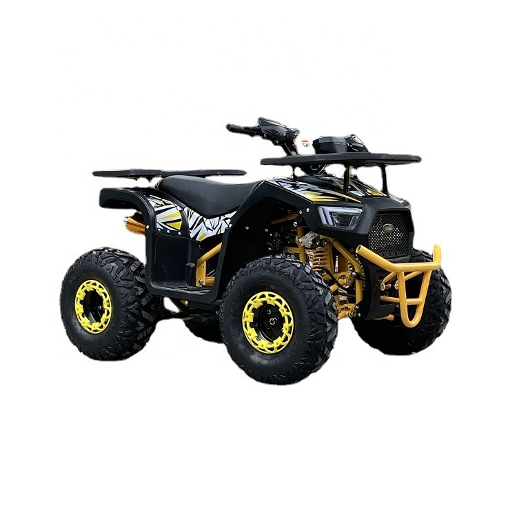 EDR 48V Electric Four Wheel Motorcycle Electric All Terrain Electric ATV