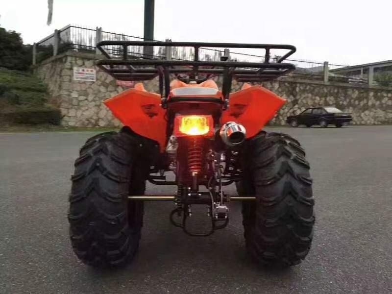 EDR 250CC Engine ATV Adult Model 125CC 300CC atv 4x4 quad atv 4x4 800cc