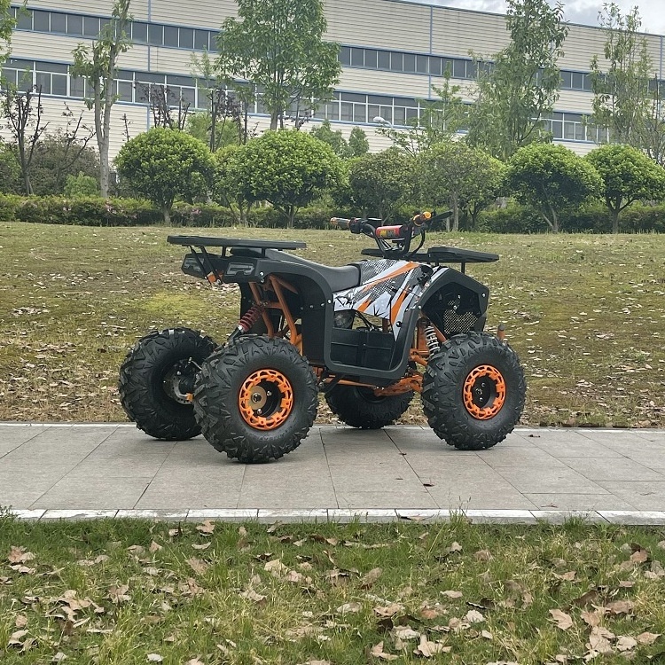 EDR 48V Electric Four Wheel Motorcycle Electric All Terrain Electric ATV