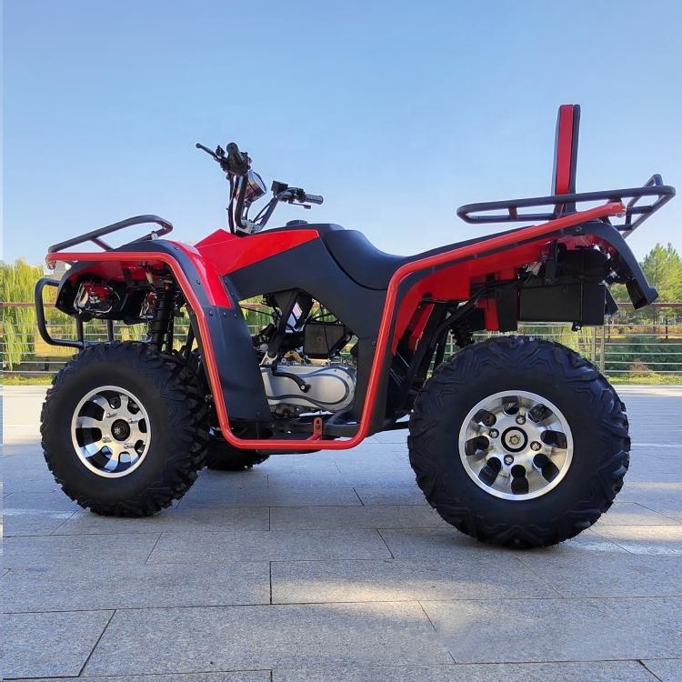 EDR 200CC all terrain off-road motorcycle off-road snowmobile ATV