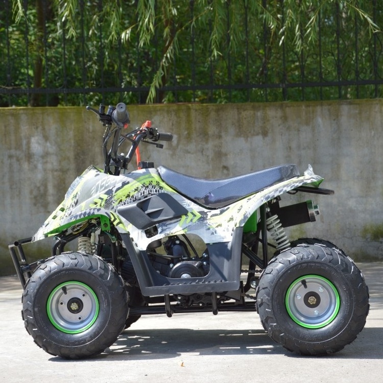 EDR 50CC 110CC 2000w 60v 125cc 400cc 500cc Electric Atvs Quad Bikes 4 Wheel Motorcycle E Quad For Adults Four Wheels