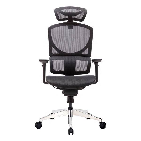 GTCHAIR ISEE M High Back Executive Chair with Headrest Ergo Lumbar Support Office Chair