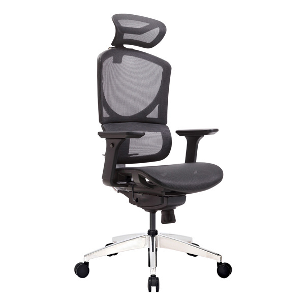 GTCHAIR ISEE M High Back Executive Chair with Headrest Ergo Lumbar Support Office Chair