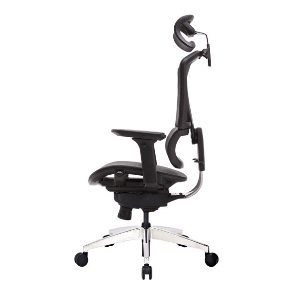 GTCHAIR ISEE M High Back Executive Chair with Headrest Ergo Lumbar Support Office Chair