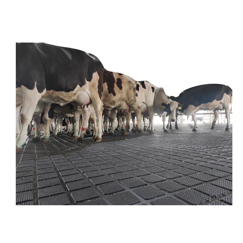 High Quality Chinese Rubber Sheets 10-25mm for Cattle Stalls and Stables Pig Houses Husbandry Rubber Floor Cow Mat