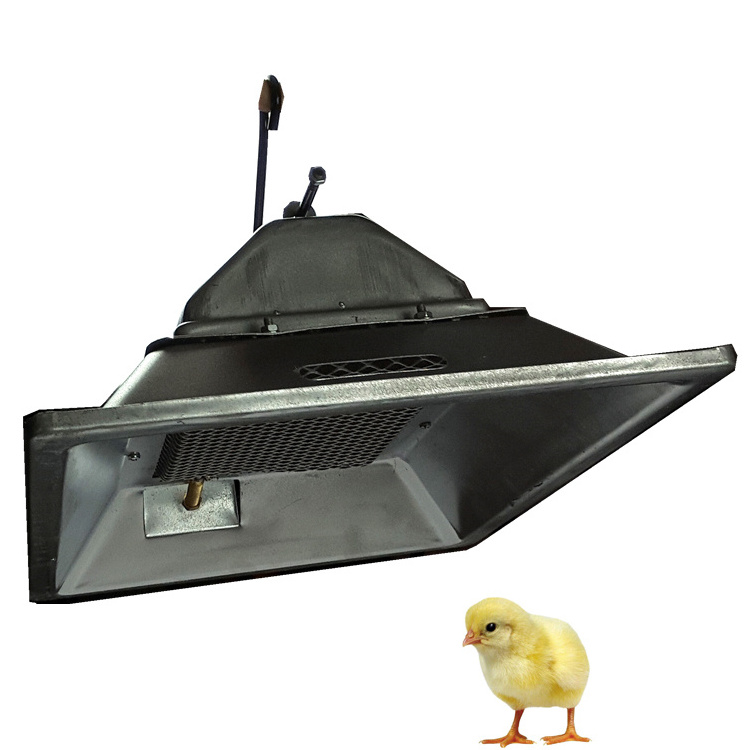 Infrared heating system gas heater brooder for Chick Breeding Machine THD2606-1