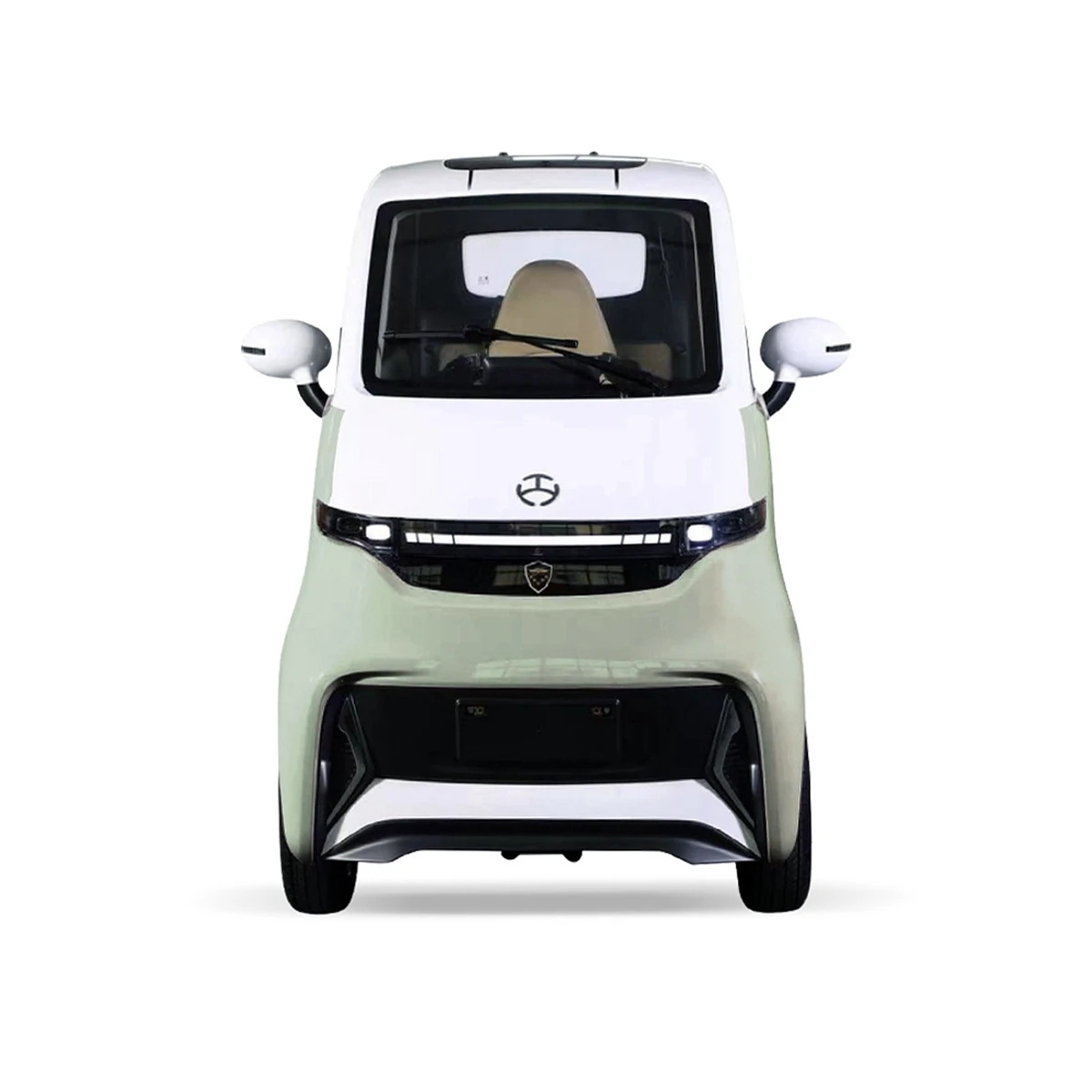 Low Speed Vehicle New Energy Pure Electric  EEC L6e Adult Full Enclosed Cabin Disable Scooter Electric Adult Car