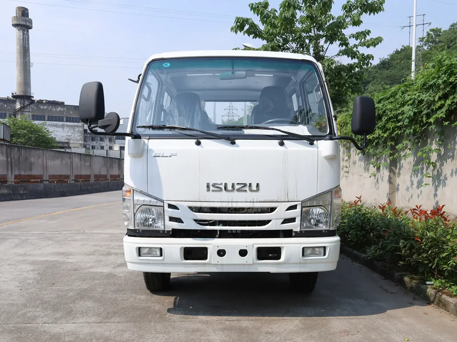 ISUZU 4X2 100p Euro V Camion de carga for 2022 new model