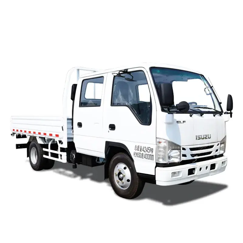 ISUZU 4X2 100p Euro V Camion de carga for 2022 new model