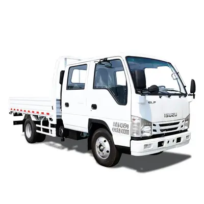 ISUZU 4X2 100p Euro V Camion de carga for 2022 new model