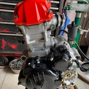 CQJB High Quality 300CC Water Cooled Motorcycle Engine