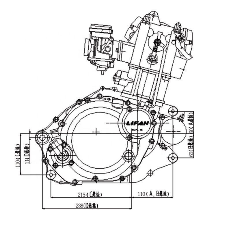 CQJB High Quality Motorcycle Engine GN300 Water Cooled Motorcycle Engine Assembly