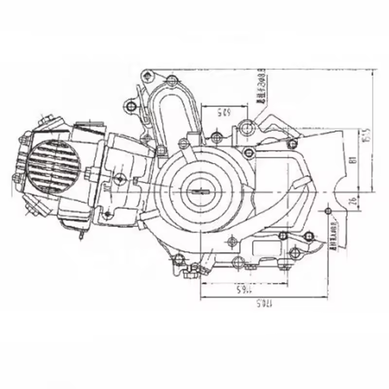 CQJB High Quality Motorcycle Engine Lifan 110CC Air Cooled Motorcycle Engine Assembly