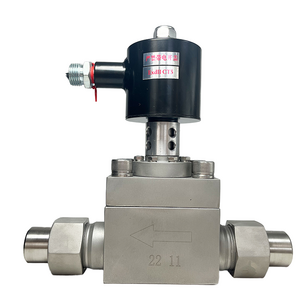 4MPa 40bar DC12V Cryogenic Solenoid Valve 1Inch Pneumatic valve Liquid Nitrogen Valve for Low Temperature Applications