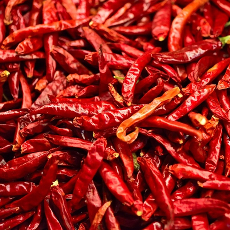 Wonderful quality red teja chilli available to Bulk selling price from china Exporters