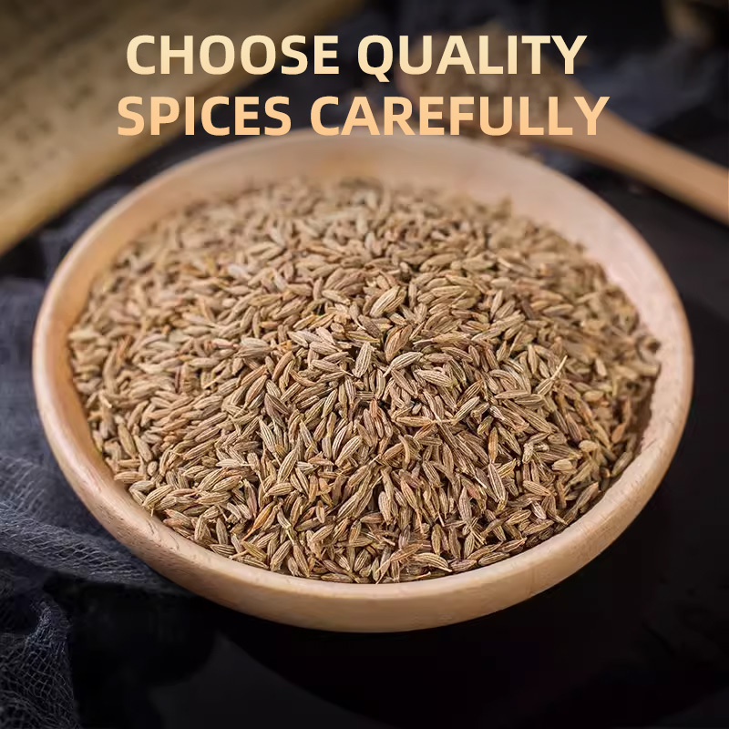 China Spices Supplier Wholesales Top Quality Cooking Spices Jeera Seeds Cow Meat Comino Spice Whole Cumin With Low Price