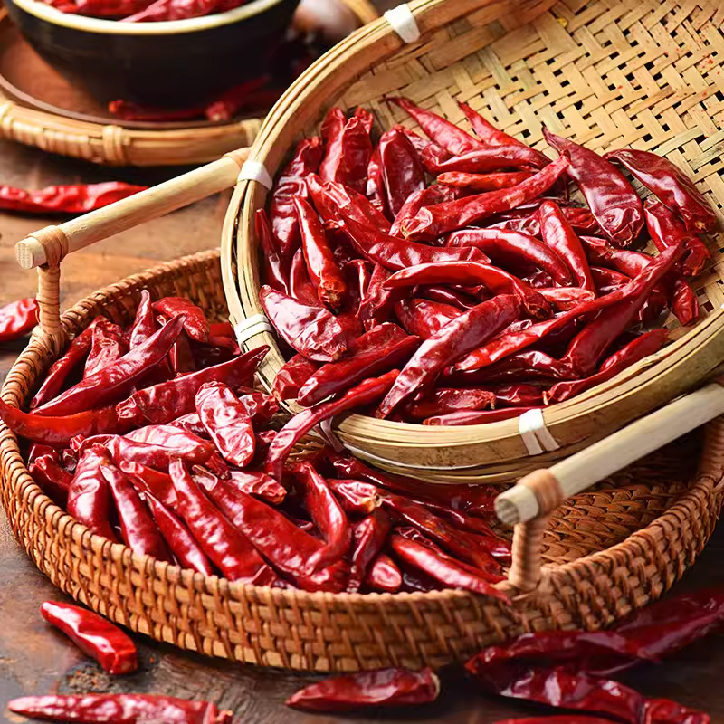 Wonderful quality red teja chilli available to Bulk selling price from china Exporters