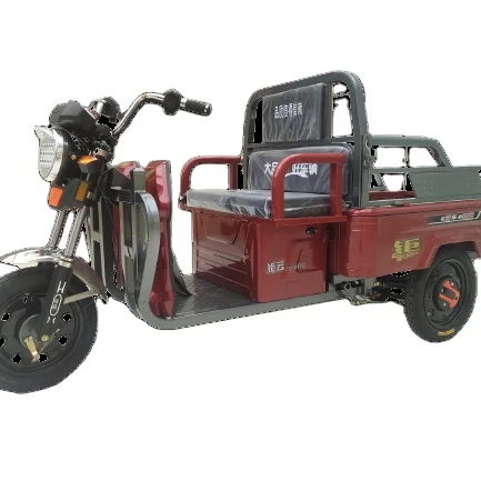 JUYUN Popular  3 Wheels Petrol Motor Motorised Motorcycle Trike Tricycle Customize 12V Cargo enclosed electric 2 door tricycle