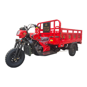 chinese petrol trike motorcycle 200cc gas powered three wheel heavy duty truck electric cargo motorcycle tricycle for adult