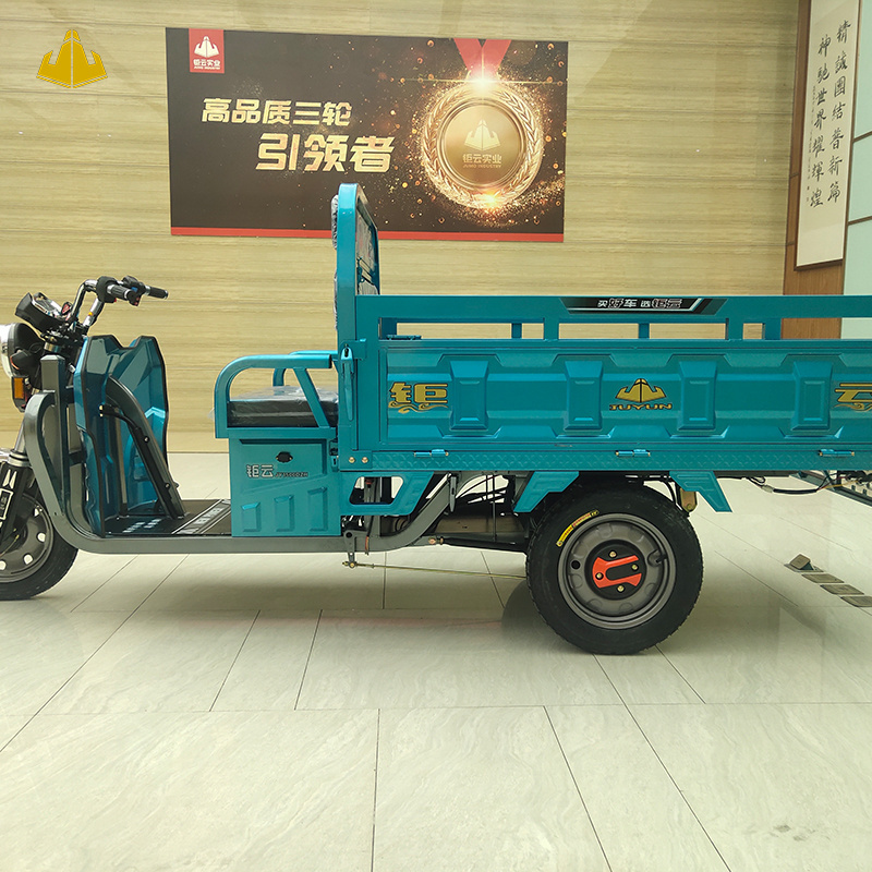 2023 China cheaper strong power 1300w electric tricycles motorcycle 3 wheel electric cargo bike motorized trike for sale