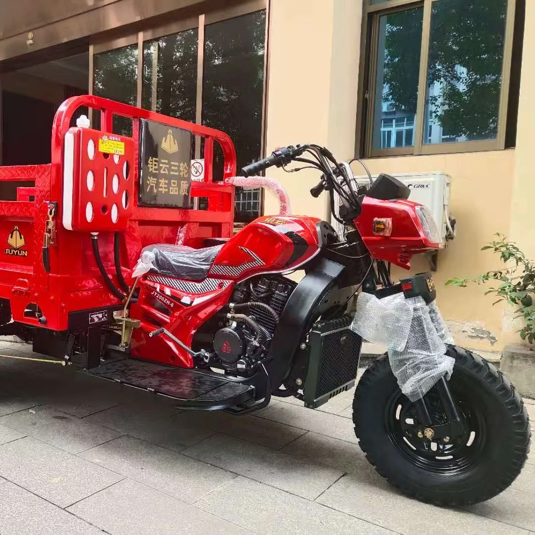 JUYUN Popular  3 Wheels Petrol Motor Motorised Motorcycle Trike Tricycle Customize 12V Cargo enclosed electric 2 door tricycle