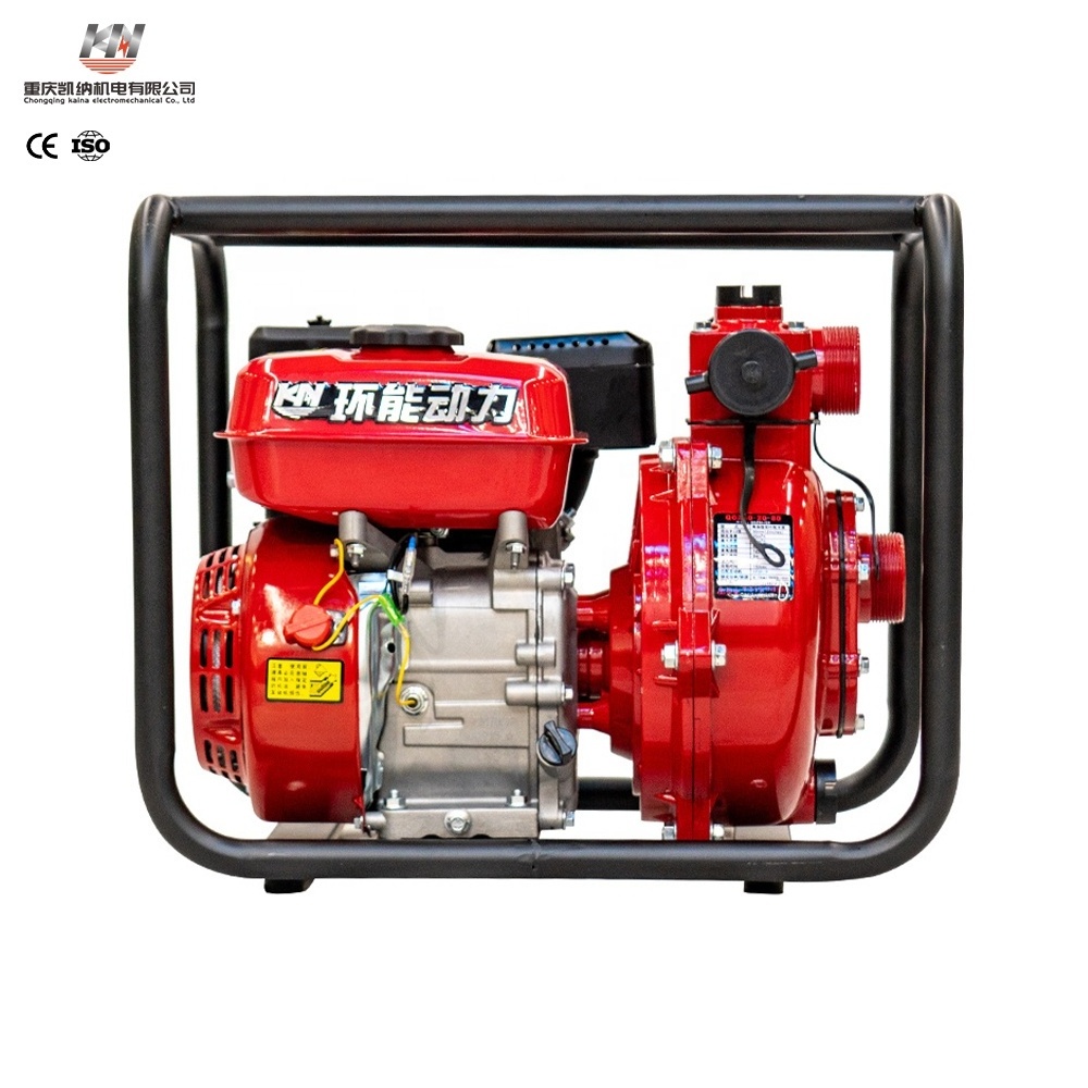 Large Flow Portable Fuel Tank High Pressure Gas Water Pump / 2 inch Petro Engine Cheap Price Home Water Pomp 12V Gasoline Pump