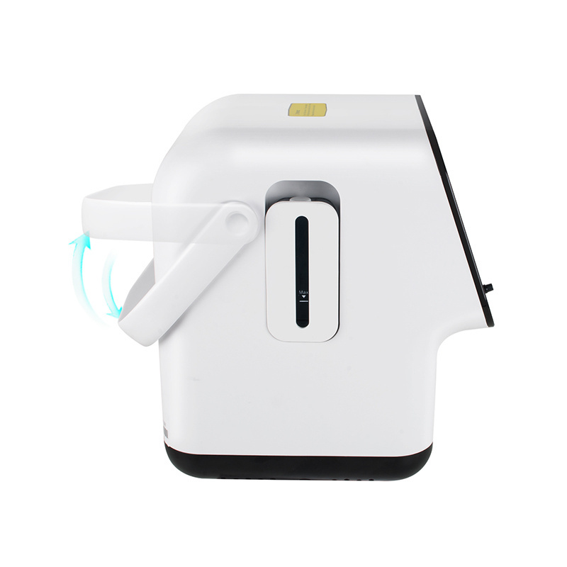 Hot Selling Small Portable Smart Medical Oxygene Generator Concentrator 1L Oxygen Concentrator Portable Mini