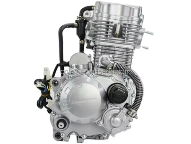 Low Price Tsunami 250cc Water Cooled Motorcycle Engines 250cc Zongshen 250cc Engine Motor 250cc for Sale