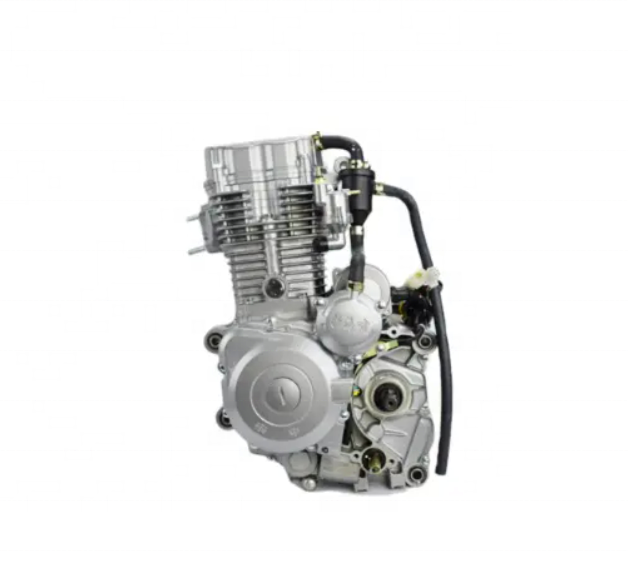 Low Price Tsunami 250cc Water Cooled Motorcycle Engines 250cc Zongshen 250cc Engine Motor 250cc for Sale