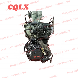 Water Cool 250cc 300cc 350cc Vertical Tricycle Engine with Balance Shaft