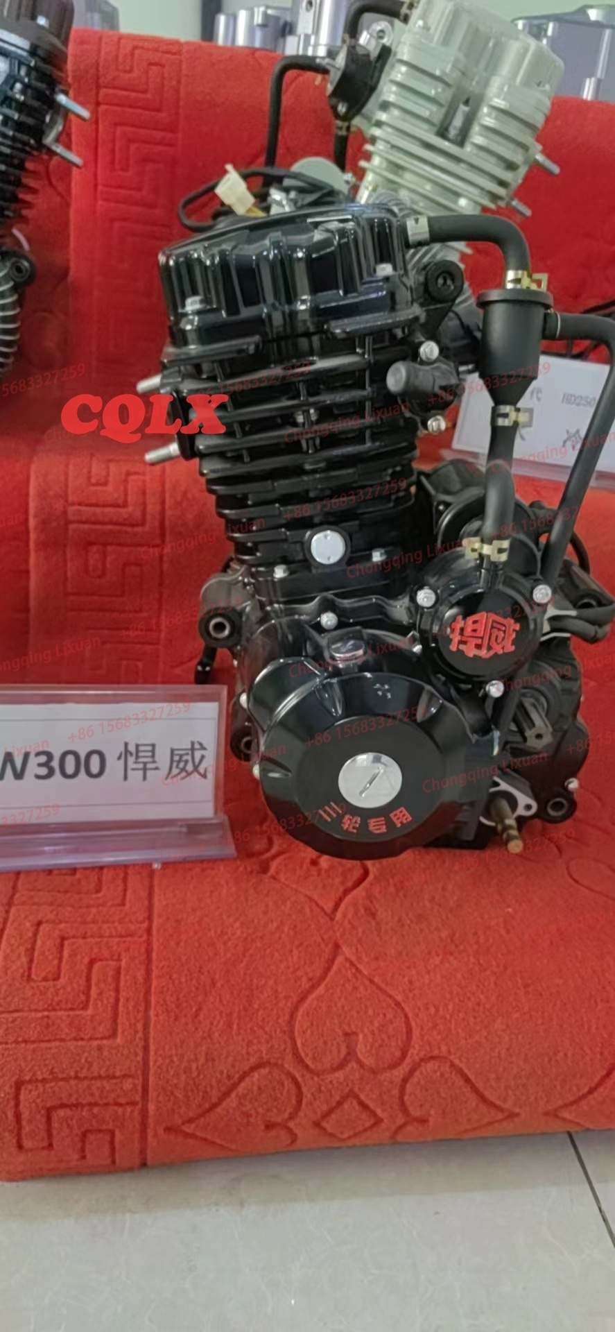 Water Cool 250cc 300cc 350cc Vertical Tricycle Engine with Balance Shaft