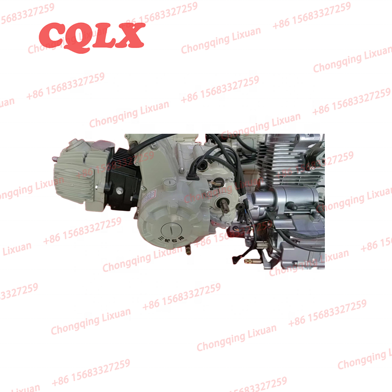 Water Cool 250cc 300cc 350cc Vertical Tricycle Engine with Balance Shaft