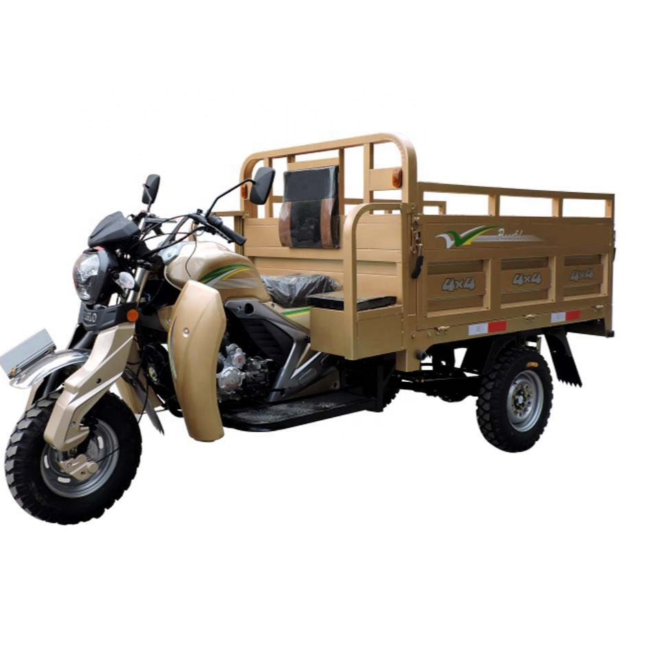 200cc sale two front wheels roof scooters trailer frames delivery gasoline adult three wheel motorcycle in sudan