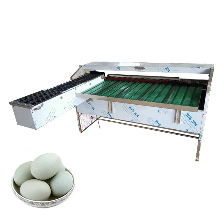 Chicken egg sorting machine automatic egg washing and grading machine egg grading machine small business