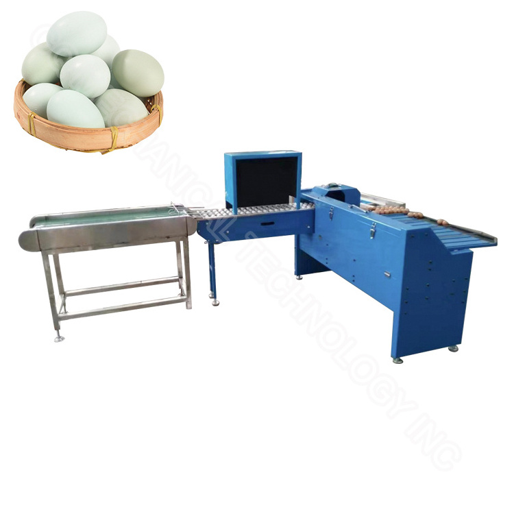 Chicken egg grader machine mini egg grading machine egg sorter and packer