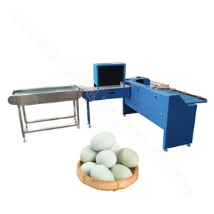 Chicken egg grader machine mini egg grading machine egg sorter and packer