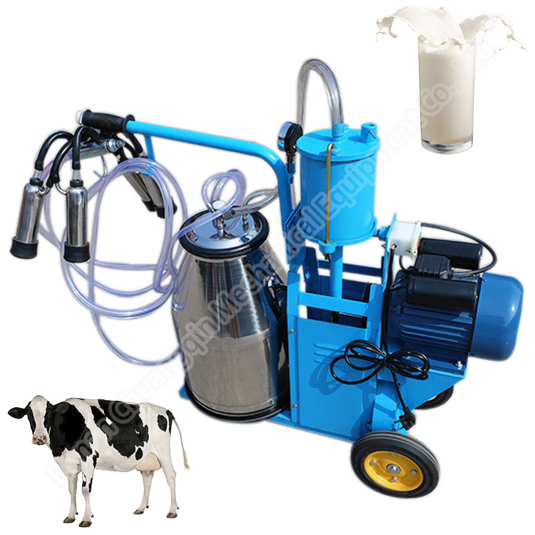 2 cows fresh milk vending human cow milking machine