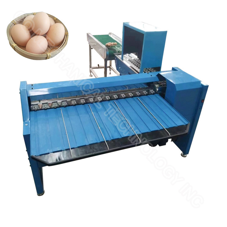 Chicken egg sorting machine automatic egg washing and grading machine egg grading machine small business