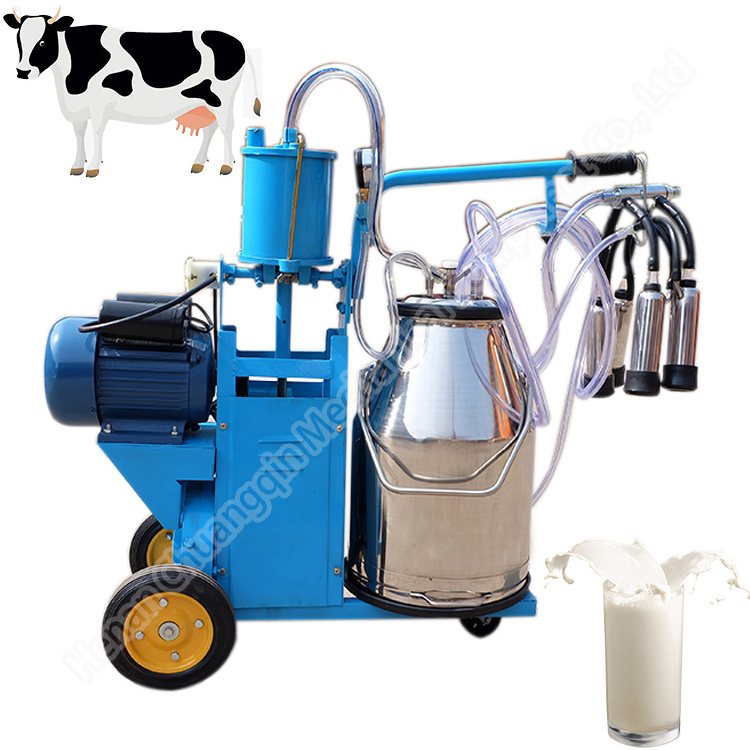 2 cows fresh milk vending human cow milking machine