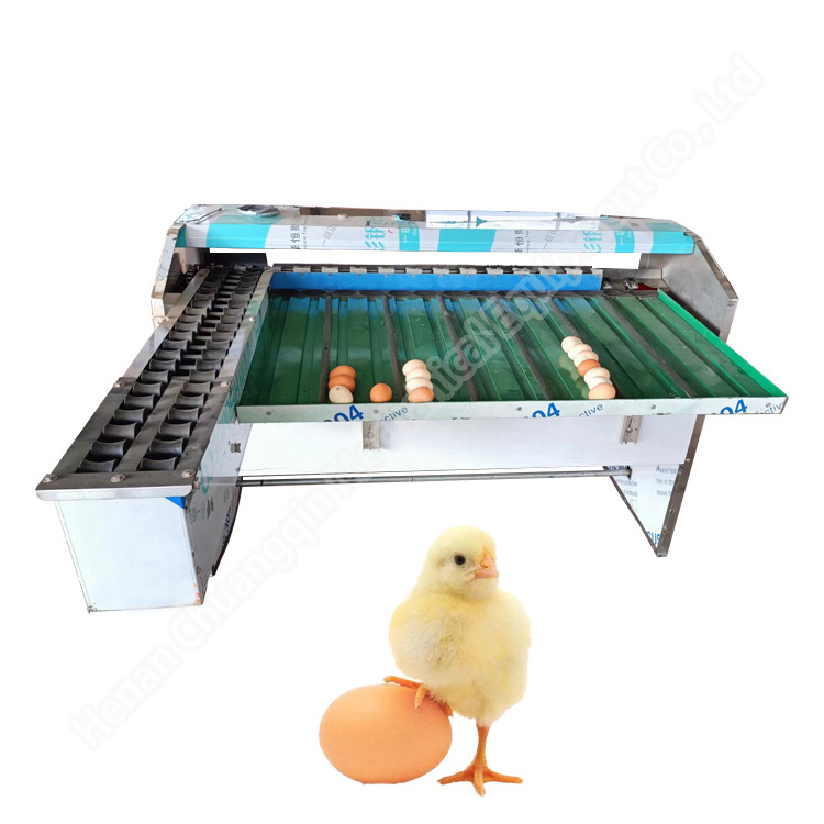 Egg Sort Machine Egg Sorter Machine Automatic automatic egg sorting machine and packer