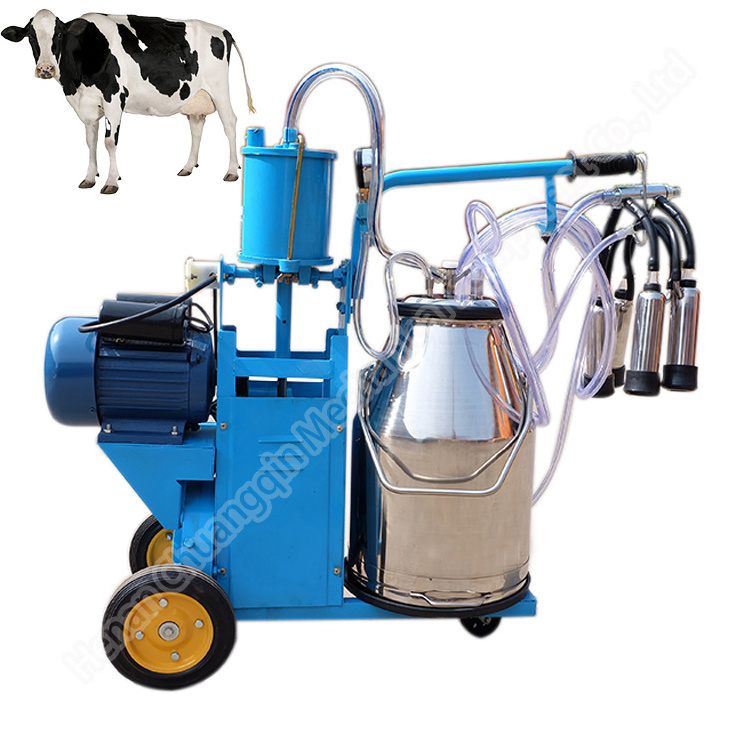 2 cows fresh milk vending human cow milking machine