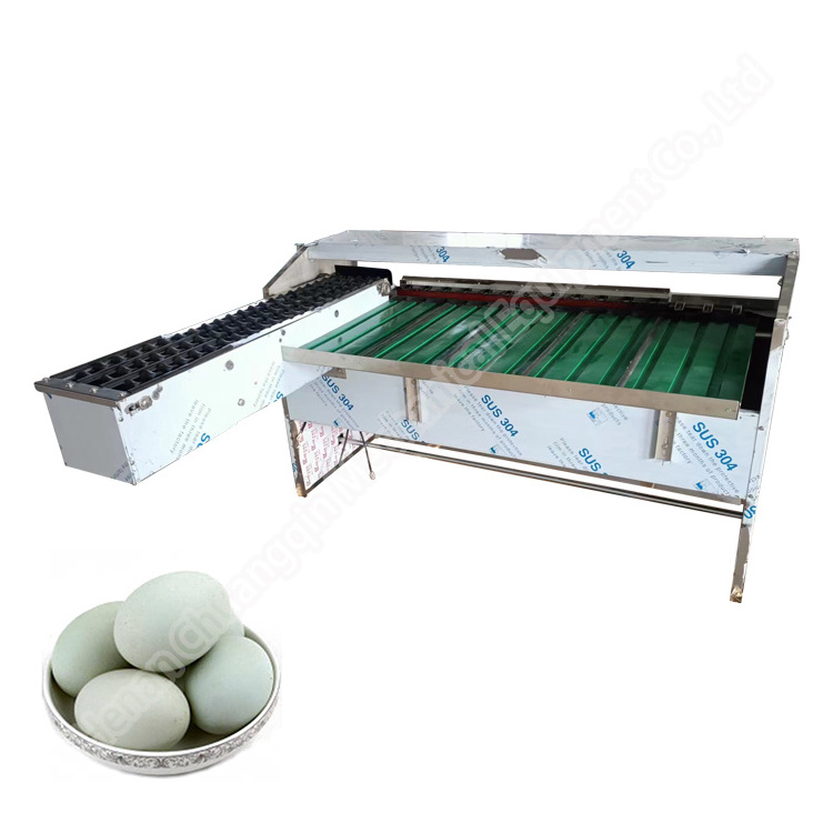 New Technology Egg Cleaning Grading Machine Egg Grading Equipment By Weight automatic egg sorting machine and packer